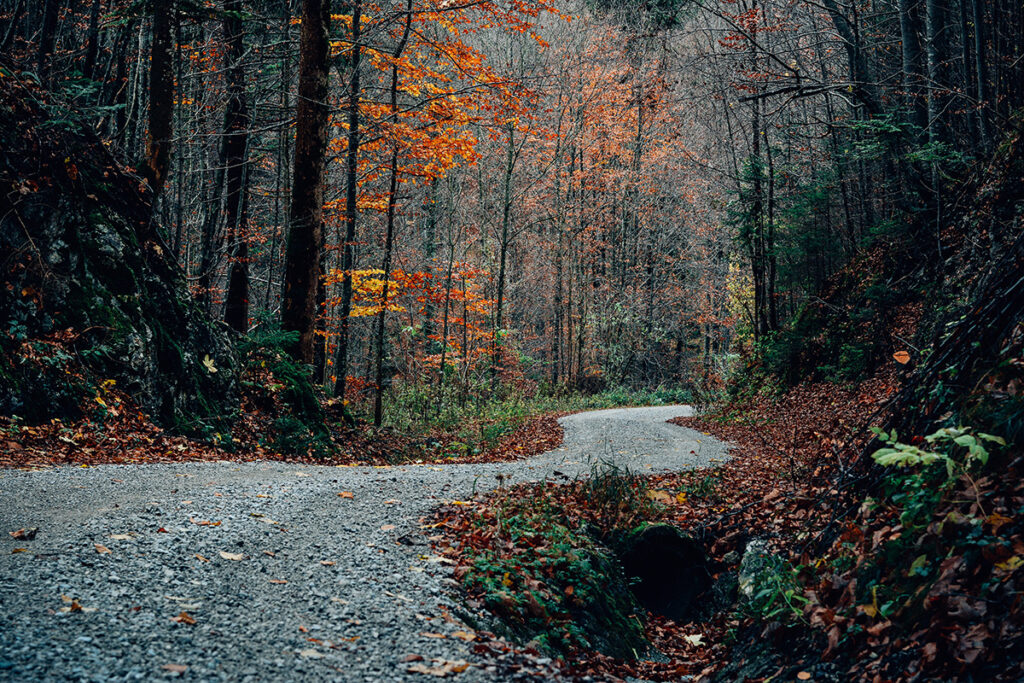 Gravel Driveway