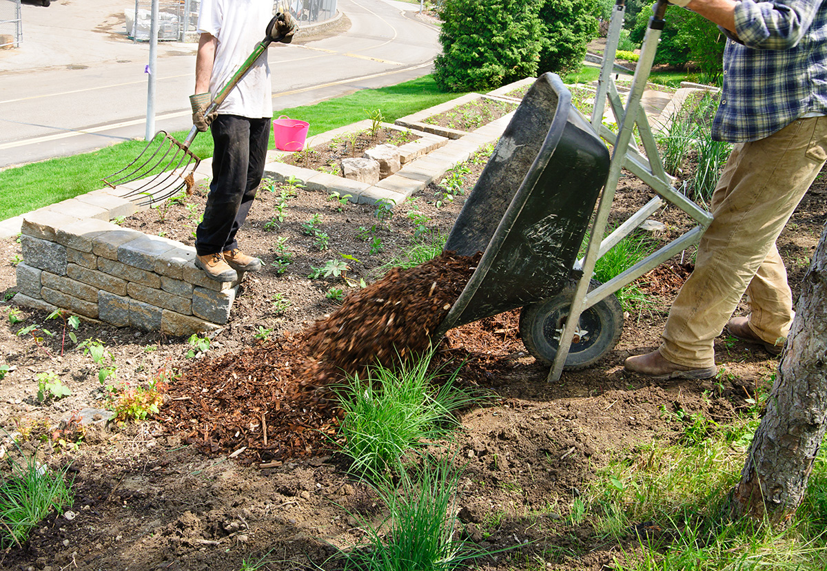 Spreading Mulch