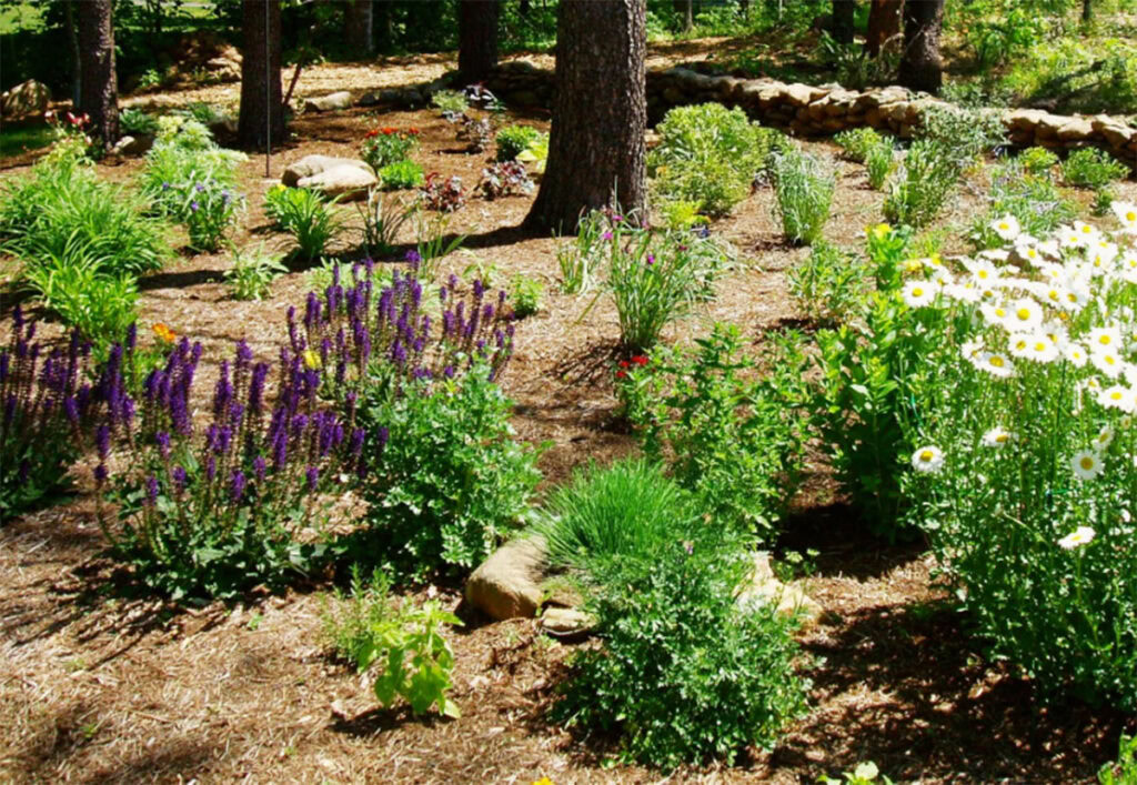 Garden Bed Maintenance