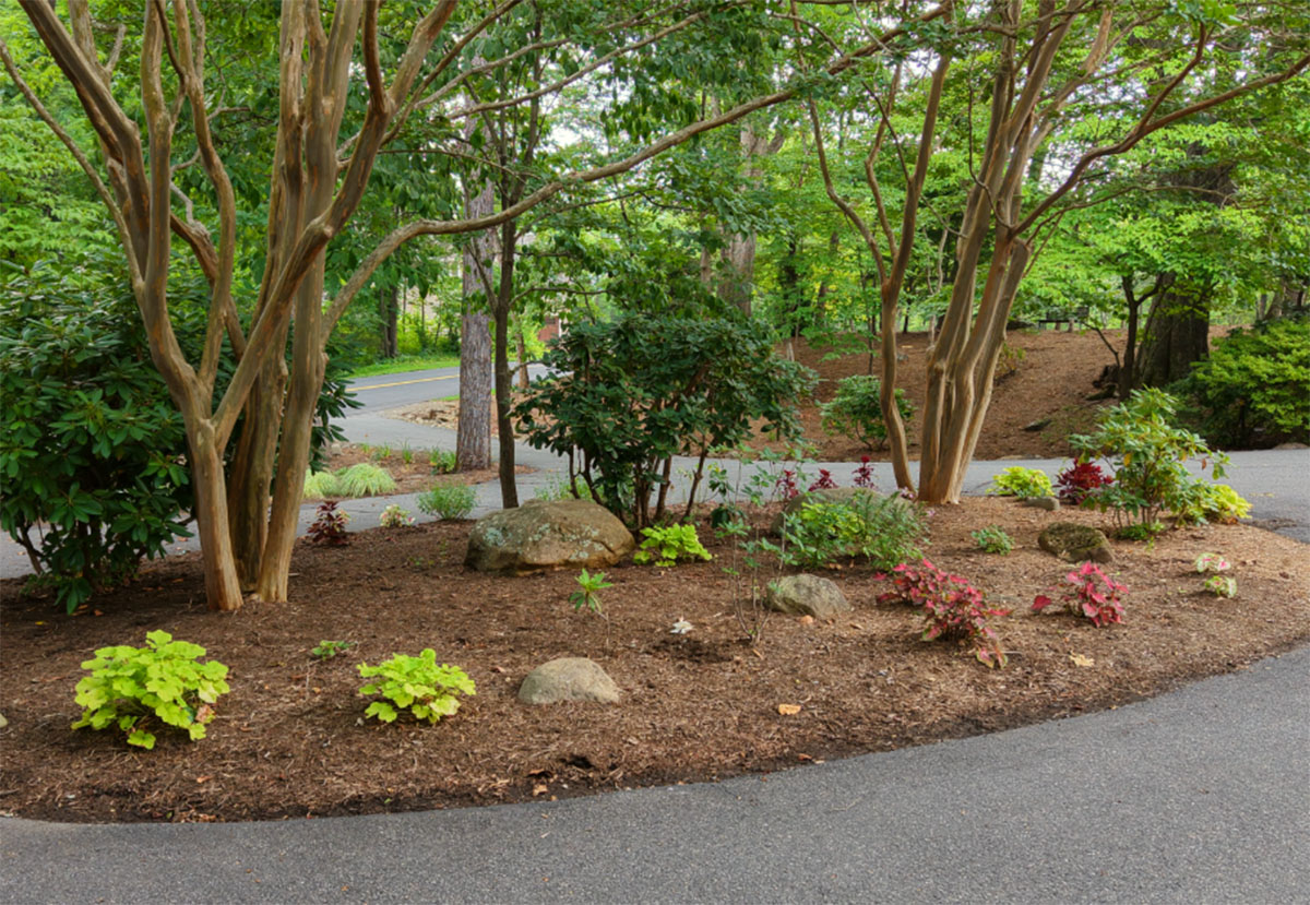 Garden Bed with Fresh Mulch